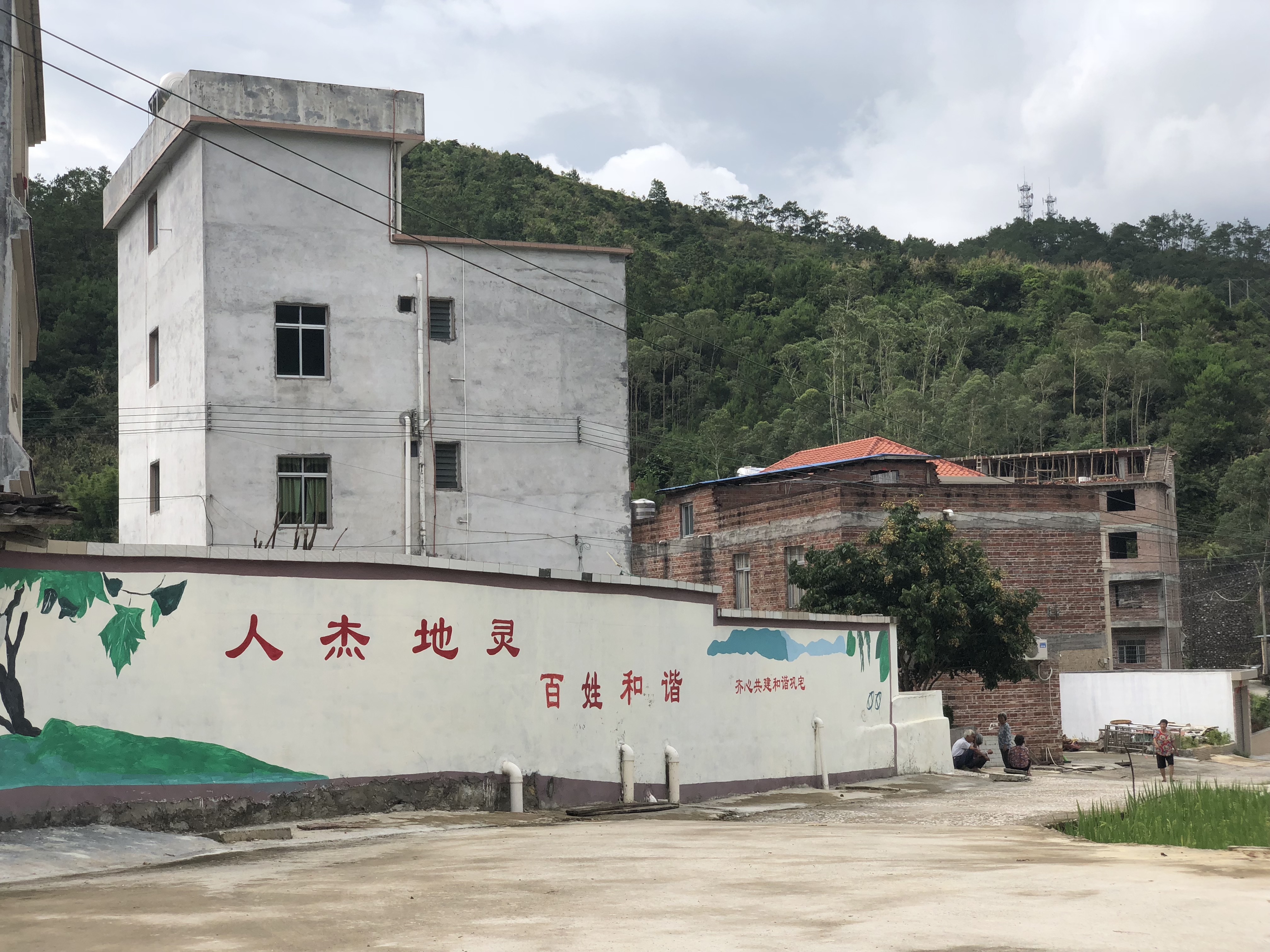 广东云浮振兴乡村,云浮云安乡村振兴工程