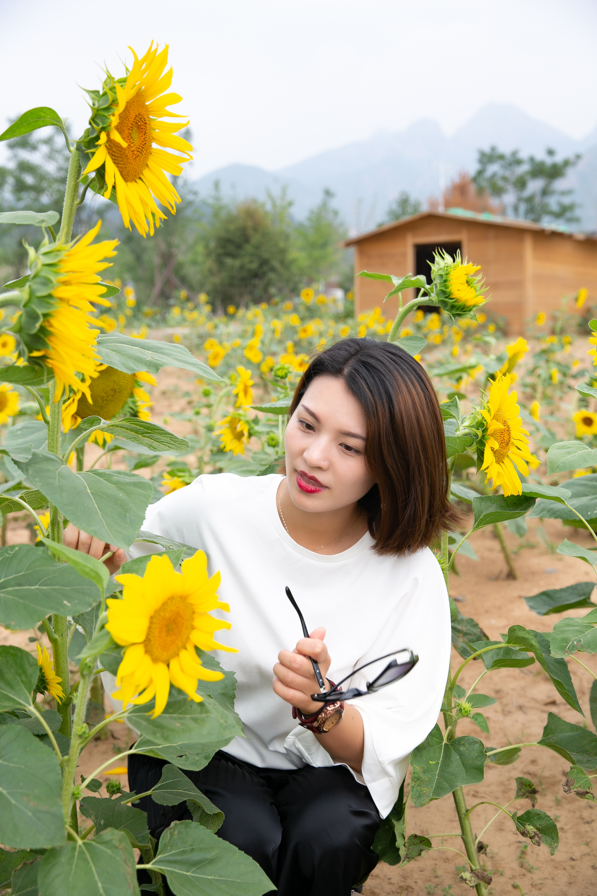 秦皇岛避暑一日游攻略,秦皇岛旅游祖山攻略