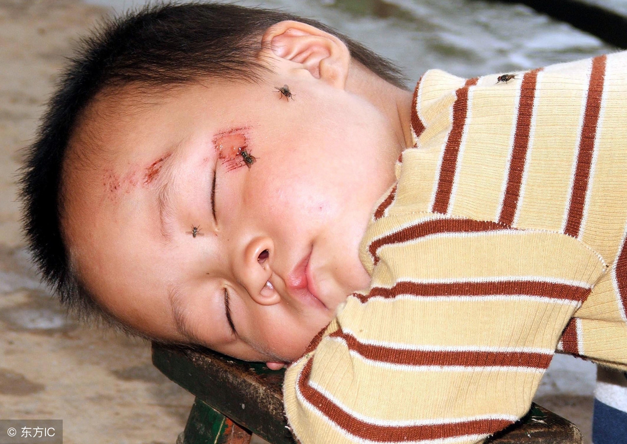 盛夏蚊虫叮咬用这几种中草药叶涂抹可以解除你难言之隐