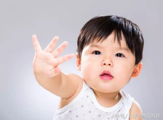 知子花教育到底是干什么的,知子花教育ceo