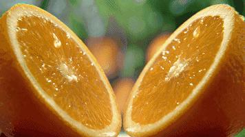 农村妇女玩手机卖出300万斤水果，年入千万，她就靠这几招！