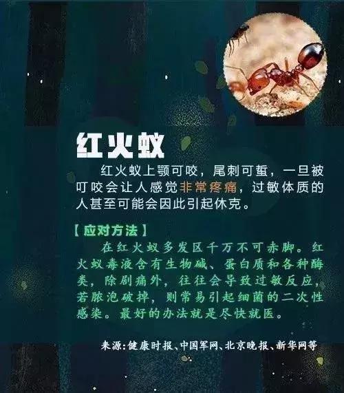 一家三口被刺身亡案,江苏一家三口被不知名虫子叮咬
