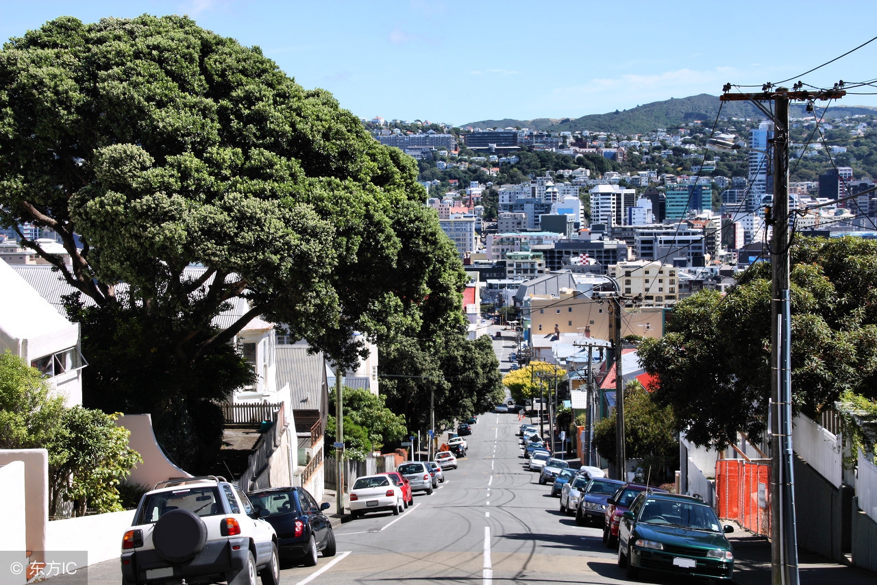 新西兰乳品大国,新西兰奶制品出口排名