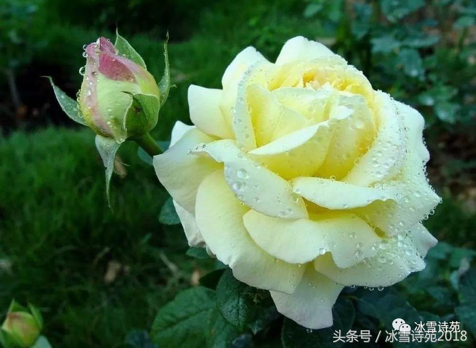 「诗家风采」杜先刚｜归乡偶记