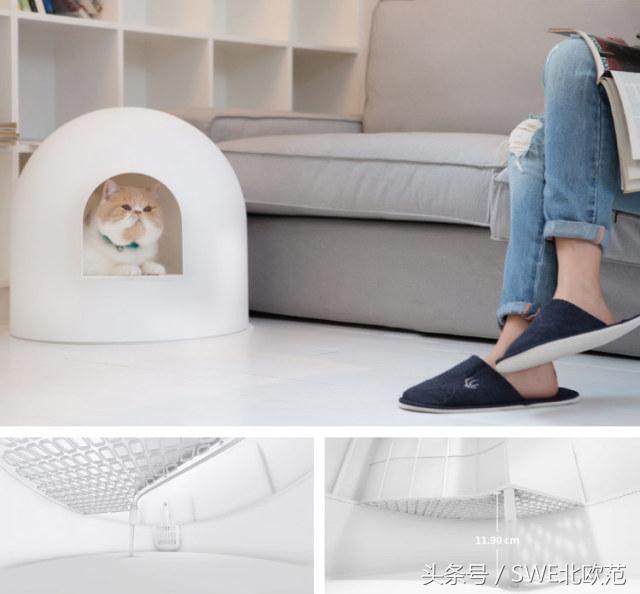 撸猫真的太快乐了,撸猫算是成功了吧