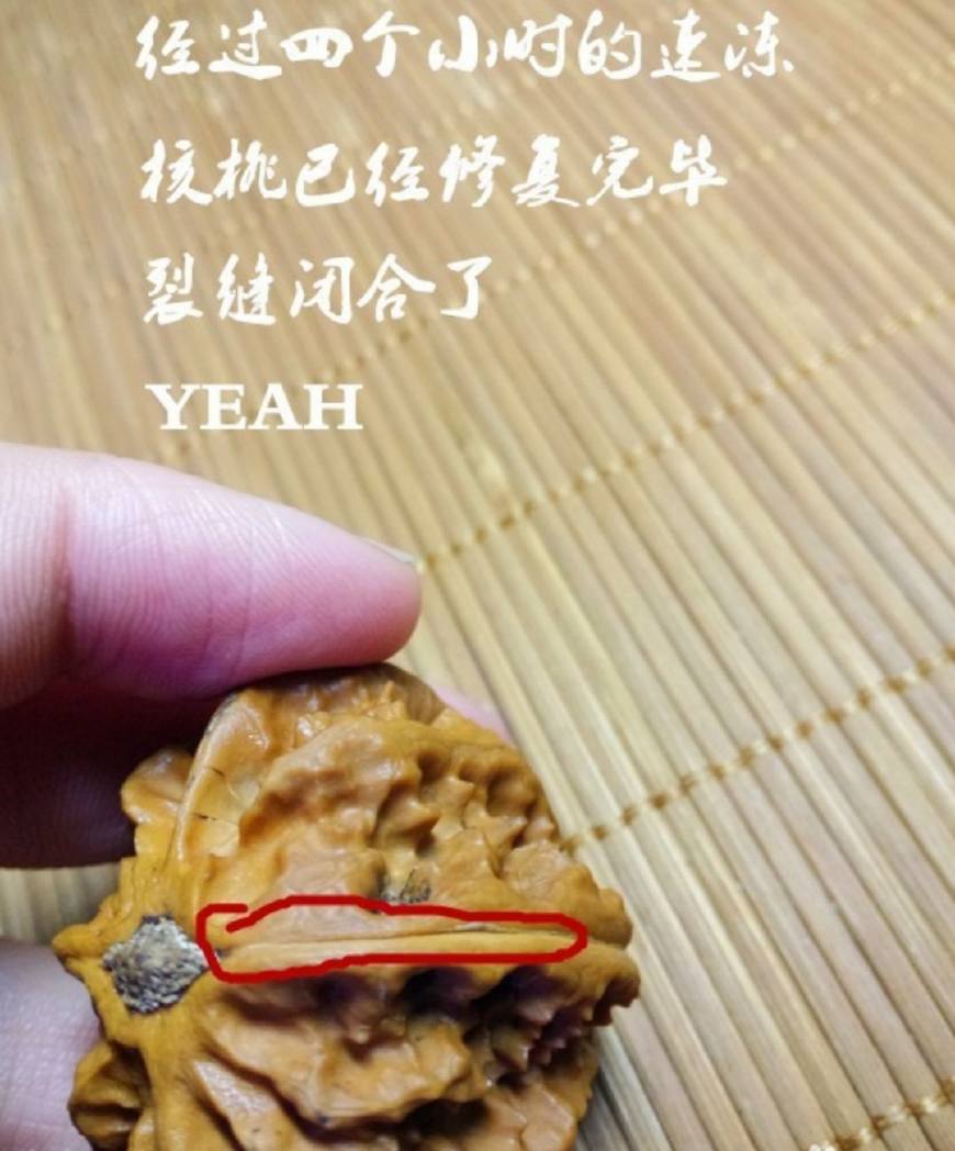 文玩核桃为什么会裂开,猴头核桃和橄榄核哪个更容易裂
