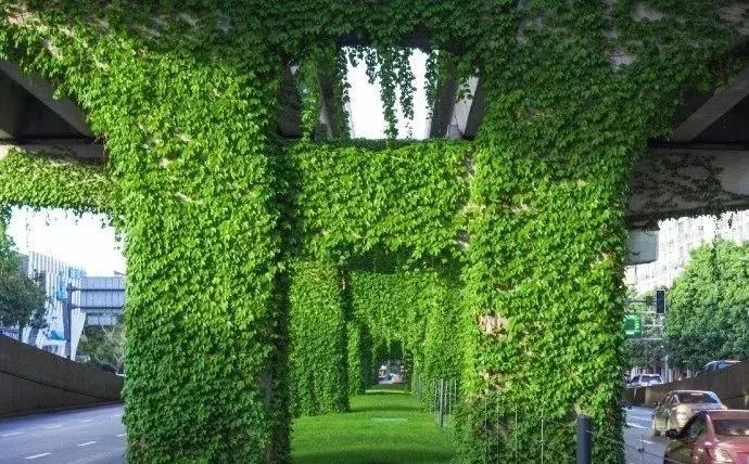 成都市区绿野仙踪,绿野仙踪成都二环