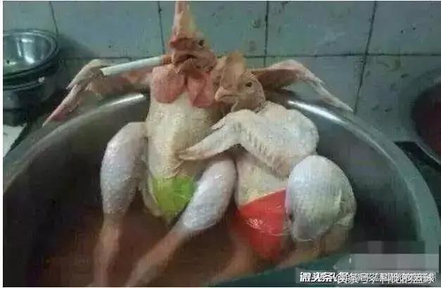 调侃白斩鸡,关于白斩鸡的段子