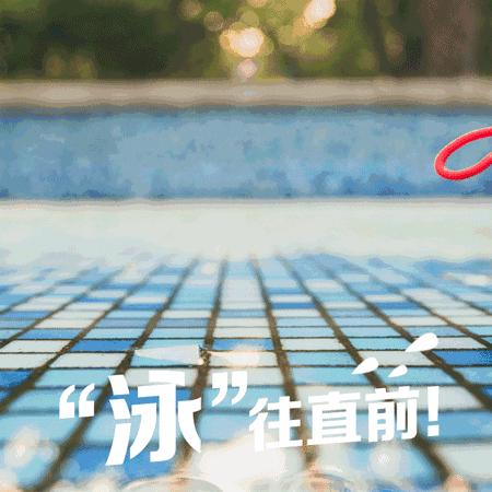 武汉收藏价格表,武汉体育中心场馆票价图