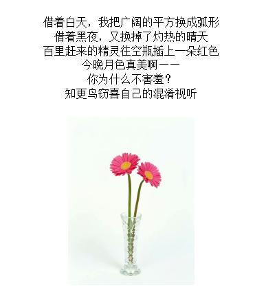 今晚月色真美是代表什么意思,今晚的月色真美代表着什么