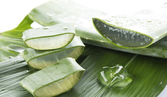 芦荟胶便宜大碗推荐 (超级好用又便宜的芦荟胶)