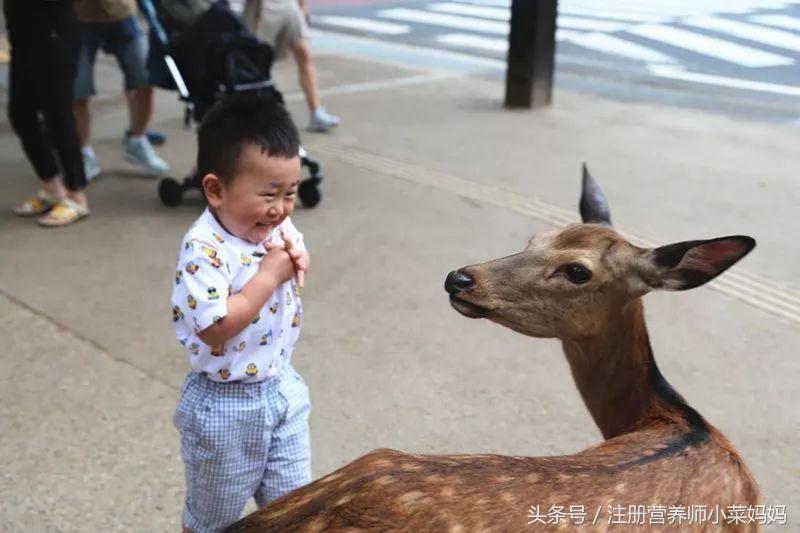 第一次带娃出国就选这！攻略都准备好啦