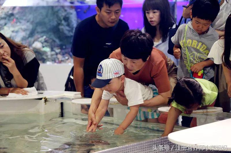 第一次带孩子出国游玩该去哪,独自带娃出国攻略