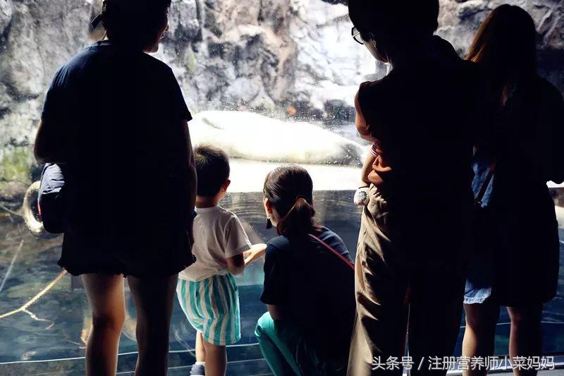 第一次带孩子出国游玩该去哪,独自带娃出国攻略