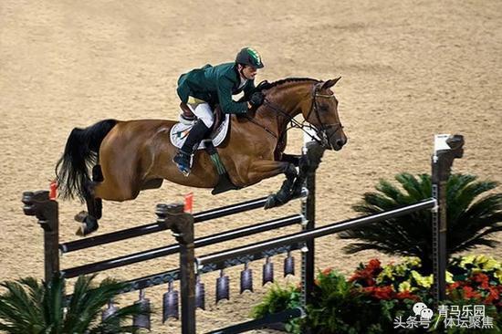 天津体育学院课程建设,天津体育学院马术赛