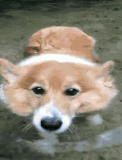 游完泳怎么快速变白,游完泳皮肤变黑怎么办