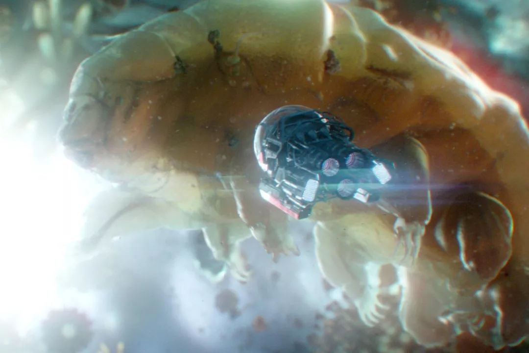 蚁人2最后的彩蛋钢铁侠有望复活,蚁人2是复联4的重要人物