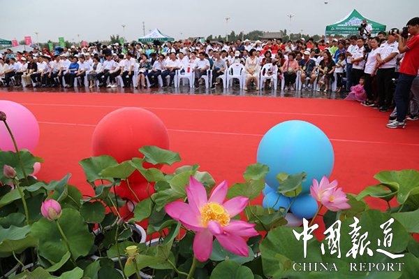 中国淮阳龙湖赏荷旅游月活动启动,周口淮阳旅游景点荷花节