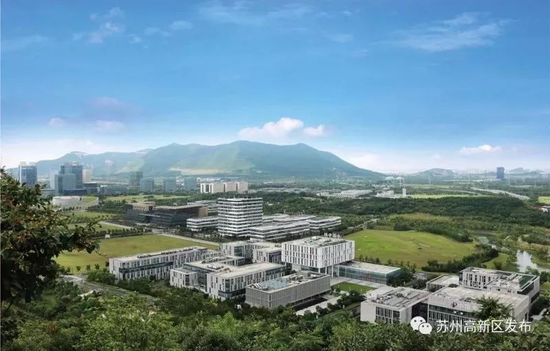 以党建思想为引领助推高质量发展,高举旗帜筑牢思想根基