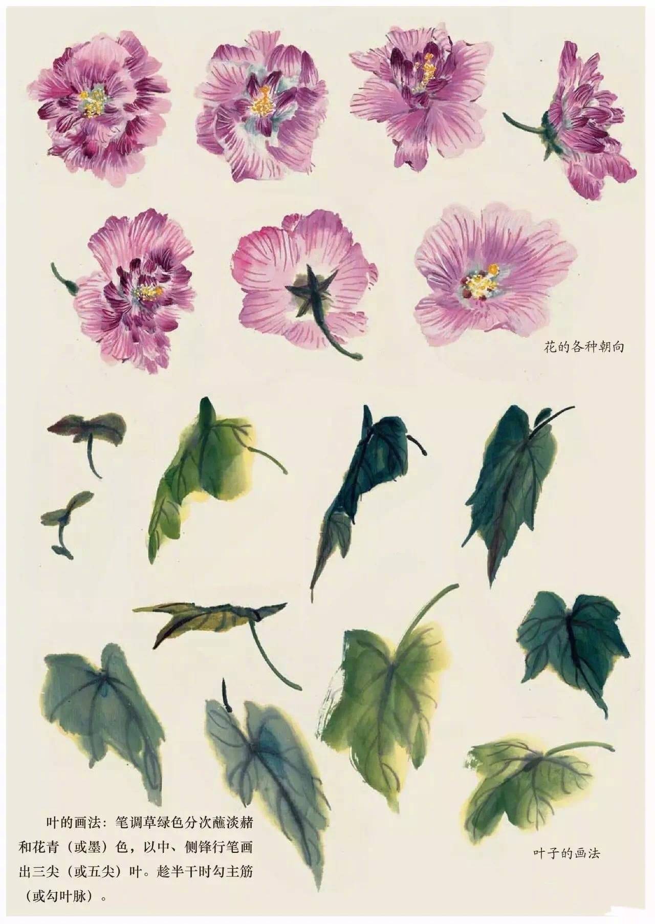 国画中的植物花卉小雏菊怎么画,国画花卉小品图片大全大图