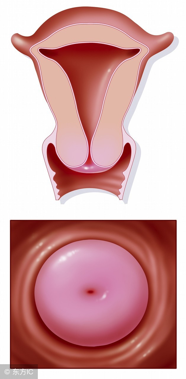 关于备孕你需要知道的5个问题,备孕困难排卵期怀孕知识分享