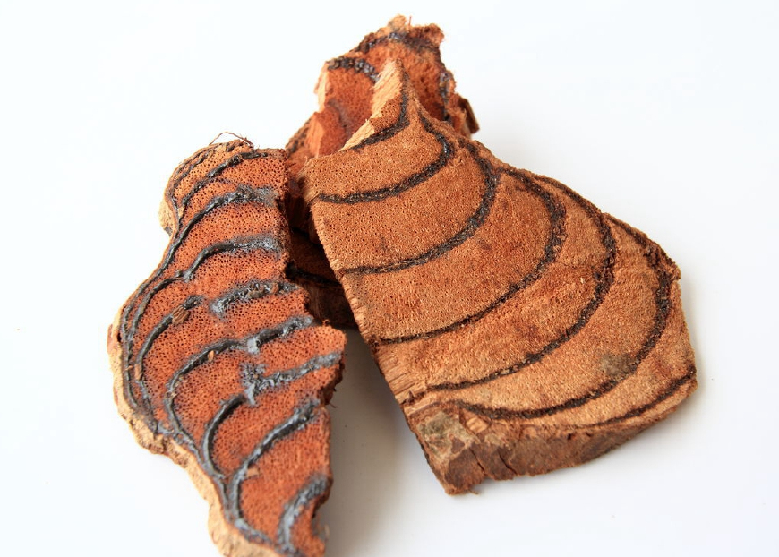 豆科鸡血藤属植物,鸡血藤是植物吗