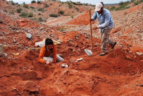 巨型恐龙体内的遗体,巨型恐龙遗骸出土