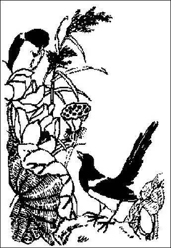 中国传统吉祥喜庆图案设计,中国传统吉祥图案全集寓意深远