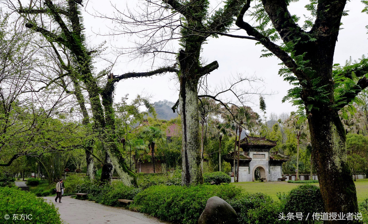 宋词一生必背50首古诗,一生必背100首经典唐诗宋词朗诵版