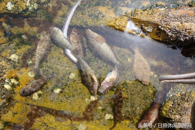 日照房价,日照金山