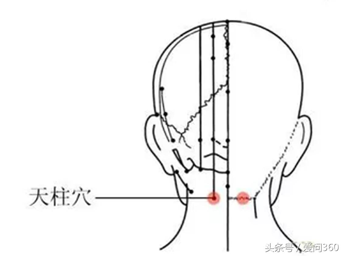 增强记忆力艾灸哪个穴位真人图,老年人记忆力下降按哪个穴位最好