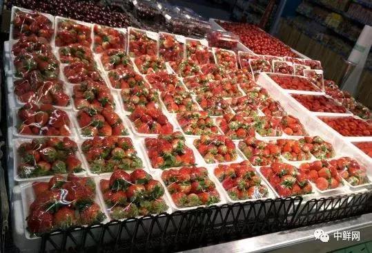 生鲜采购经验,买手经验分享