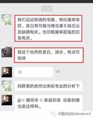 猪肉渗水什么原因分析,猪肉没卖完发黑怎么办