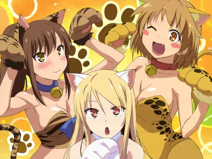 樱花庄的宠物女孩周边,樱花庄的宠物女孩里的猫