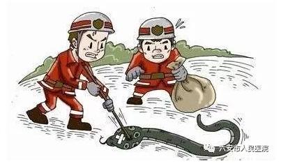 琚泧鍜激鍏畨,杩戞湡澶氫汉琚泧鍜激