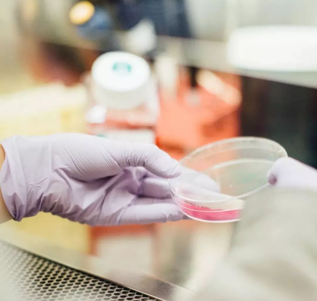 我不是药神房子都吃没了台词,我不是药神买房子