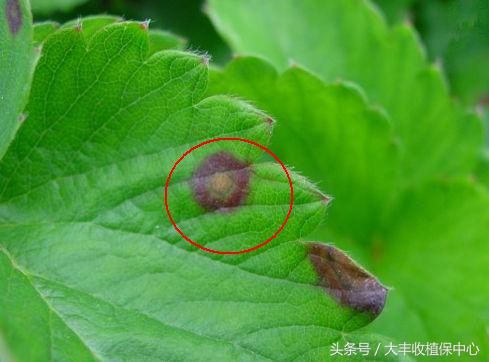 做到这7点疾病远离你,做到这7点让心血管健康一辈子