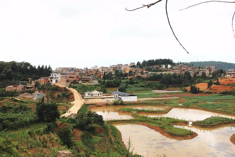 「发现」跳上生态旅游的“舞台”——看泸西阿平村如何美丽嬗变~