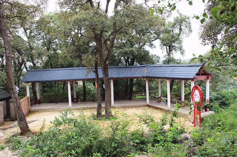 「发现」跳上生态旅游的“舞台”——看泸西阿平村如何美丽嬗变~