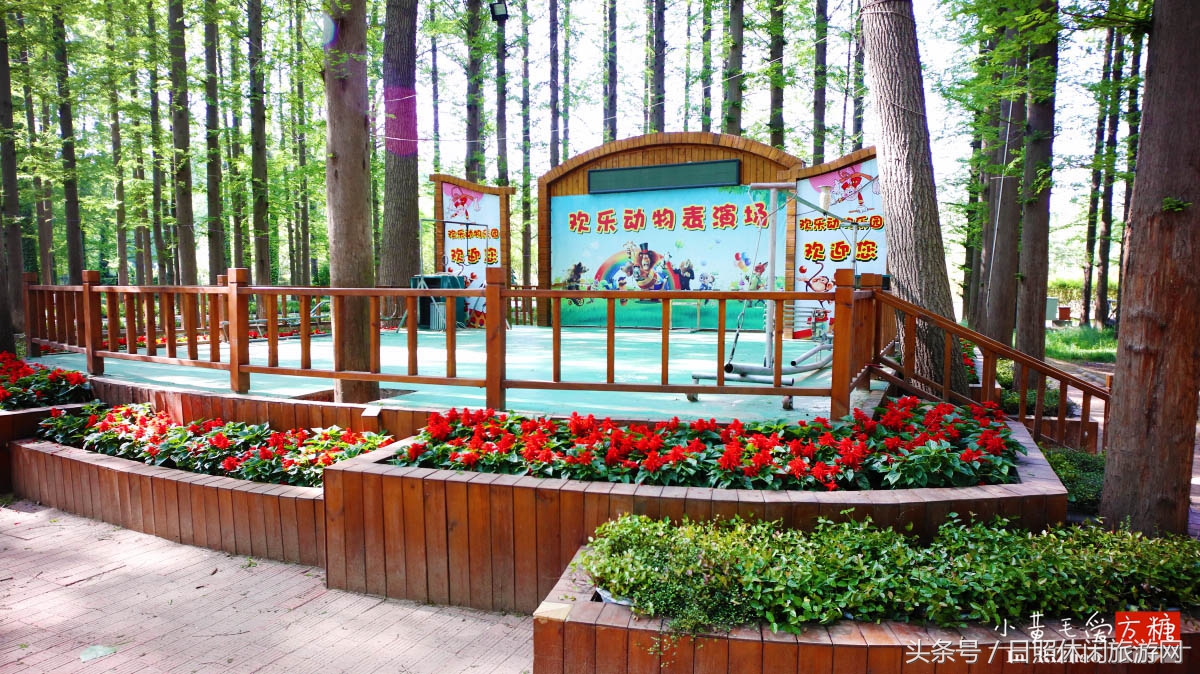 日照浴场海鲜攻略,日照海滨浴场旅游攻略