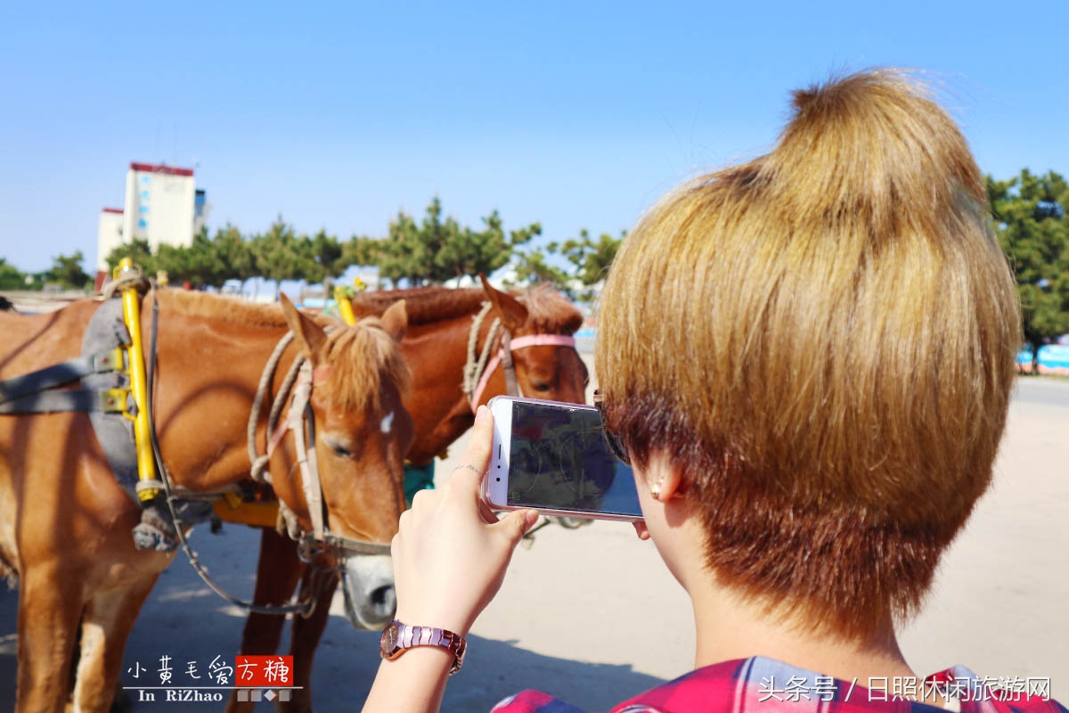 日照浴场海鲜攻略,日照海滨浴场旅游攻略
