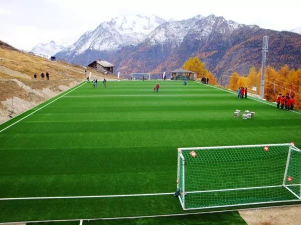 足球世界杯巅峰赛,世界杯巅峰对决之夜