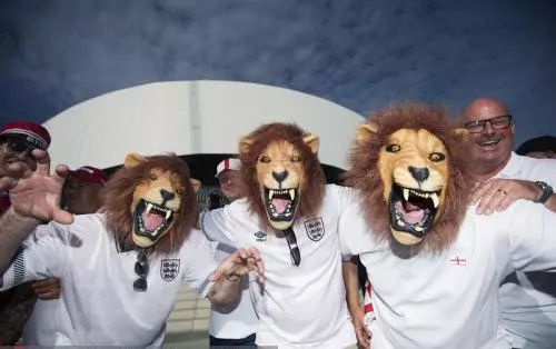 世界杯三喵,世界杯三猫军团