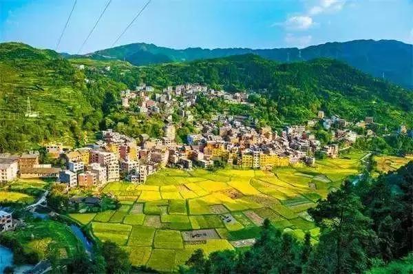 振兴乡村战略实施方案,金融扶持乡村振兴战略