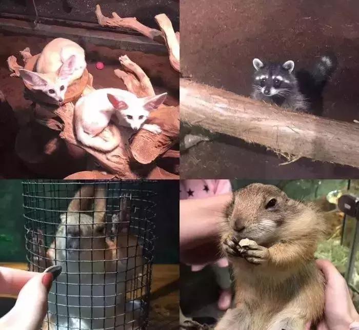 武汉下雨推荐去的地方,武汉室内凉快玩的地方