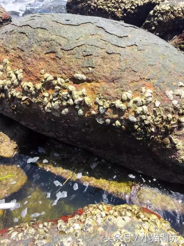 马尔代夫水清沙白,东莞绝美海岛