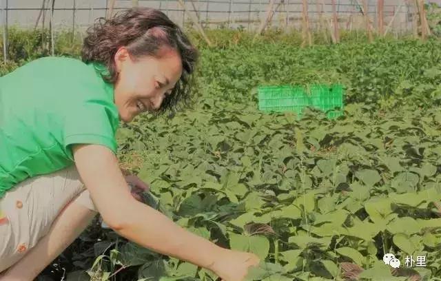 这个韩国欧巴11年前来西安，盖农场当农夫，还娶主播做媳妇儿