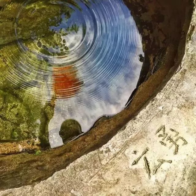 3万多亩的“天然氧吧”!人民日报整版报道佛山这座“中国最美林场”