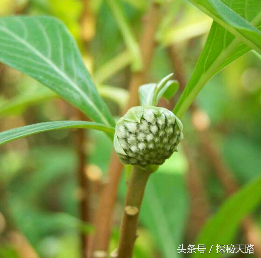 45―59岁为“生命高危期”，“三防”“三戒”指什么？