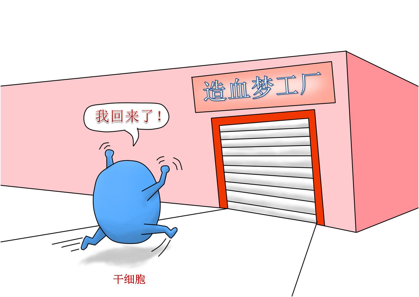 急性白血病和多发性骨髓瘤的区别 (多发性骨髓瘤 淋巴瘤 白血病区别)